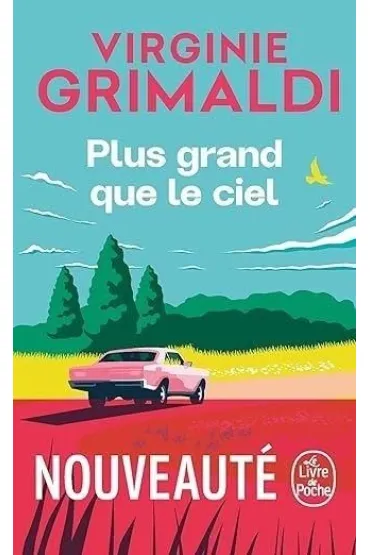 Plus grand que le ciel - Virginie Grimaldi