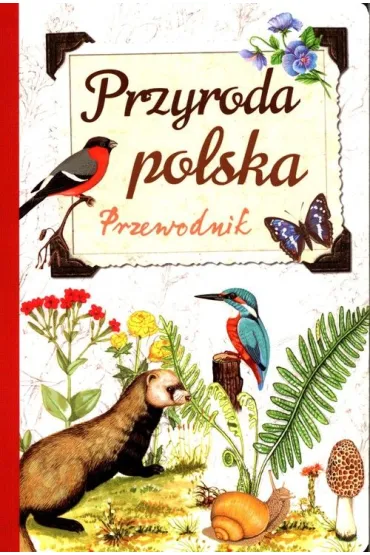 Przyroda polska. Przewodnik - Robert Jacek Dzwonkowski