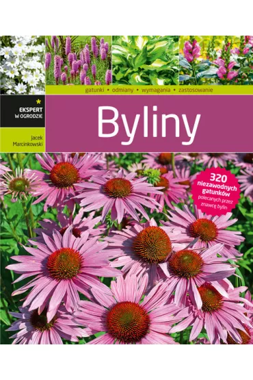 Byliny - Jacek Marcinkowski