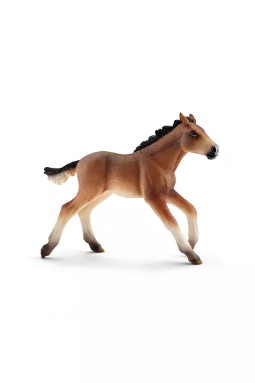 �rebie Mustang