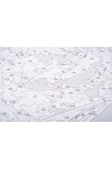 Twoje Hobby Malowanie po numerach - Czapki �wi�teczne 40x50cm