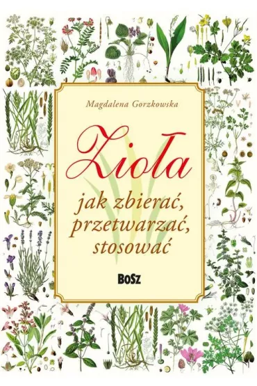 Zio�a. Jak zbiera�, przetwarza�, stosowa� - Magdalena Gorzkowska