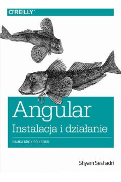 eBook Angular instalacja i dziaanie pdf