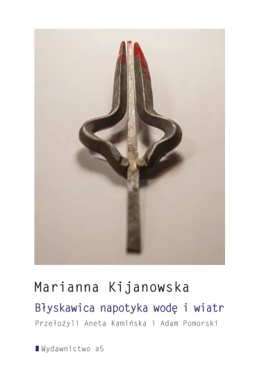 B�yskawica napotyka wod� i wiatr - Marianna  Kijanowska