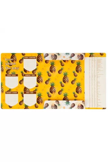 Starpak Teczka A4 z gumk� Kaktus/ Ananas