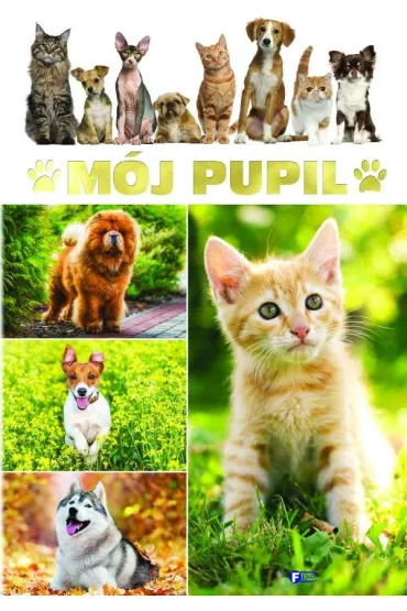 M�j pupil - Piotr Markiewicz