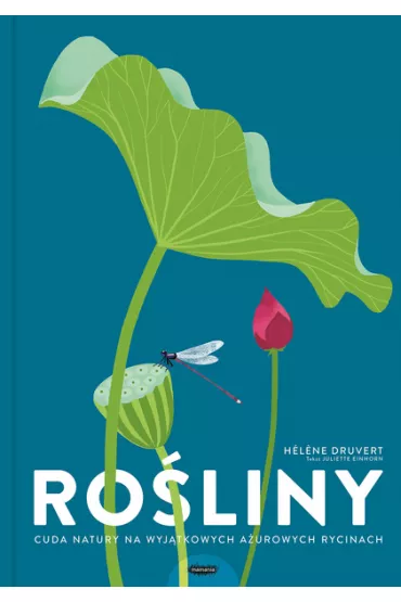 Roliny. Cuda natury na wyjtkowych aurowych rycinach - Helene Druvert, Juliette  Einhorn