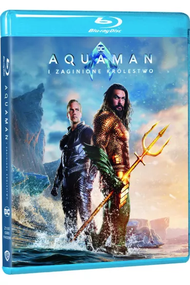 AQUAMAN I ZAGINIONE KRLESTWO (BD)