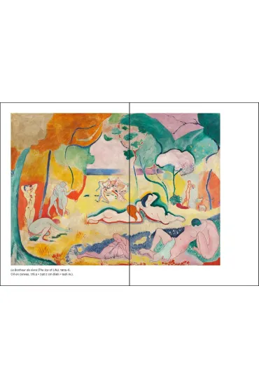 The World According to Matisse - Louise  Rogers Lalaurie