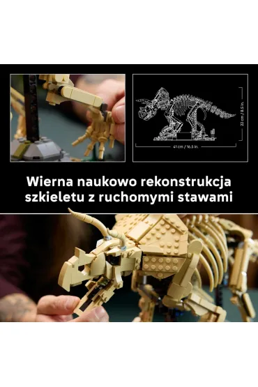 LEGO Jurassic World Szkielety dinozaur�w: triceratops 77985