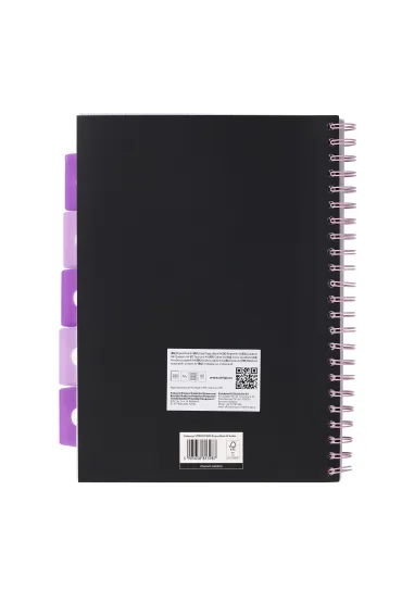 Strigo Ko�ozeszyt Pads A4 Panda kratka 100 kartek