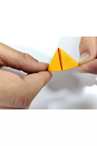 Origami 3D. Kobra Alexander