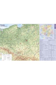 Demart Mapa Polski. Podkadka na biurko
