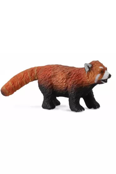Panda czerwona