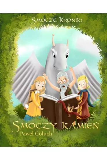 Smoczy kamie�. Smocze kroniki. Tom 2 - Pawe�  Go�uch