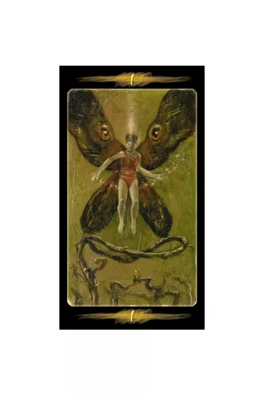 Tarot of the Secret Forest, Tarot Tajemniczego Lasu
