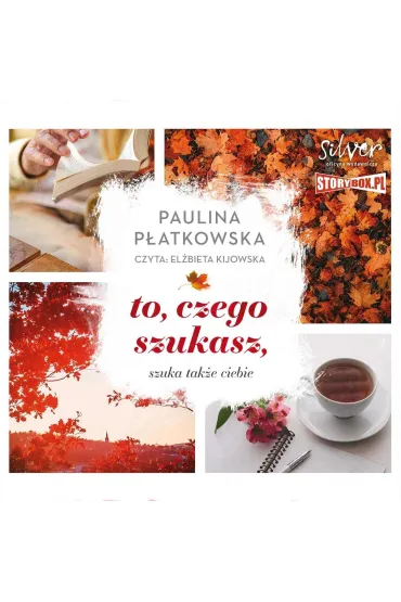Audiobook To, czego szukasz, szuka take ciebie mp3 - Paulina Patkowska