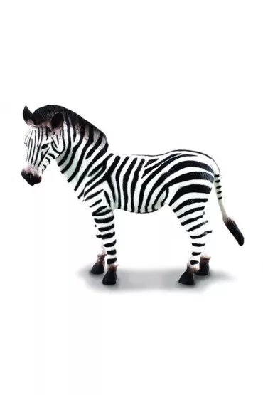 COLLECTA ZEBRA ROZMIAR L BPZ-COLLECTA