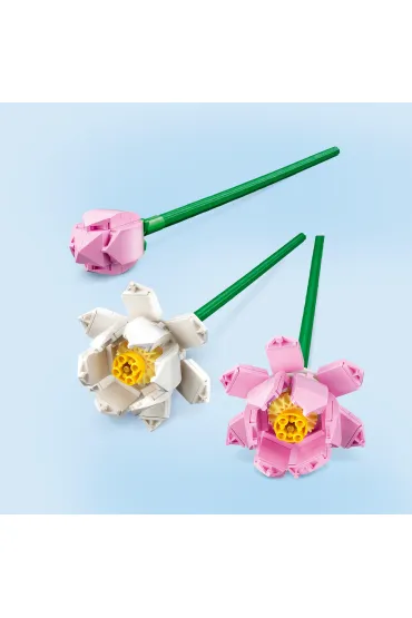 LEGO Iconic Kwiaty lotosu 40647