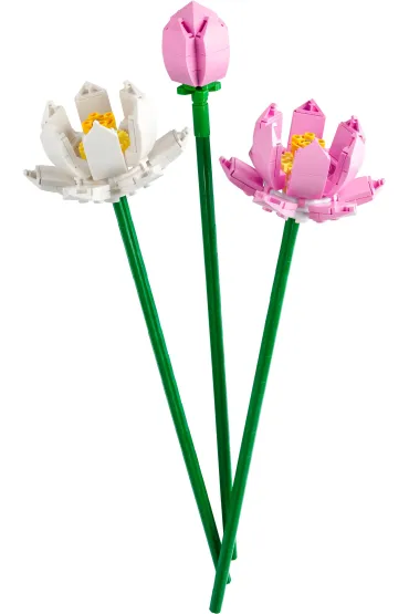 LEGO Iconic Kwiaty lotosu 40647