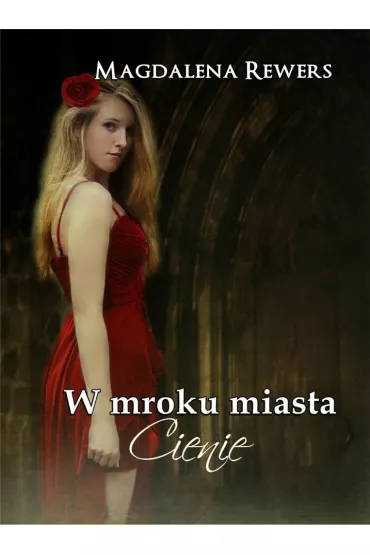 W mroku miasta. Cienie - Magdalena Rewers