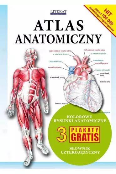 Atlas anatomiczny