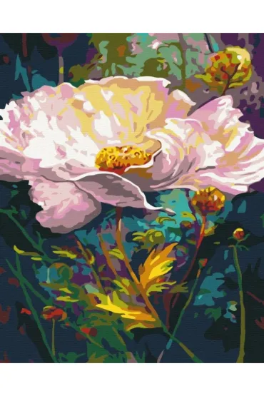 Brushme Malowanie po numerach - Wspania�y kwiat 40x50cm