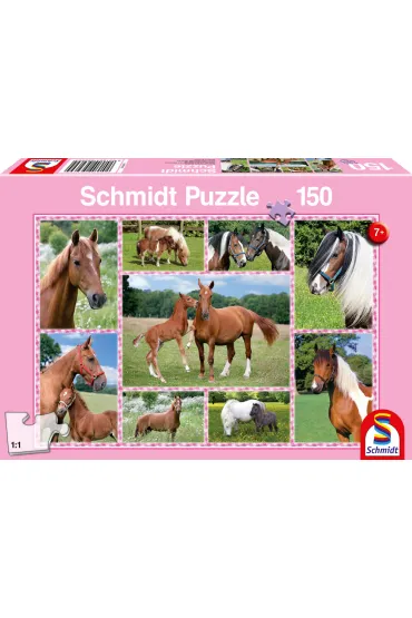 Puzzle 150 el. Konie G3
