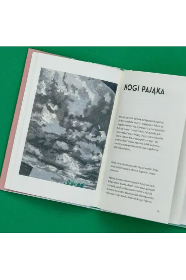 Nie m�wi si� takich rzeczy - Hanna Krall