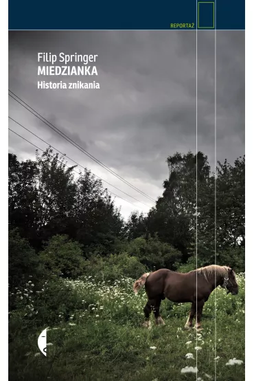 Miedzianka. Historia znikania - Filip Springer