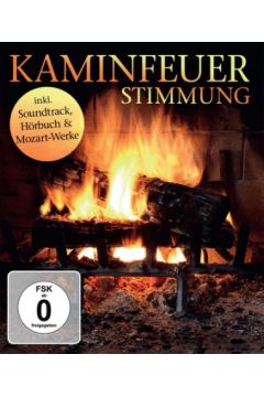 Kaminfeuer stimmung (Kominek)