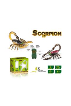 Skorpion na radio