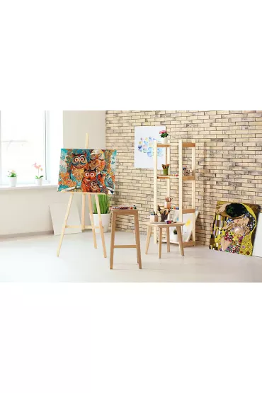 Twoje Hobby Malowanie po numerach - Magiczne sowy 40x50cm