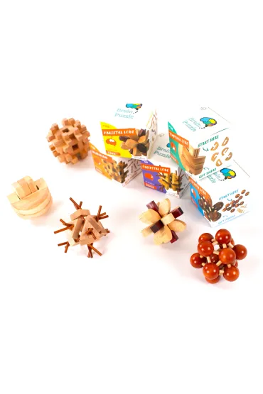 �amig��wka Brain Puzzle 4 Occipital Lobe Recent Toys poziom 5/5 G3
