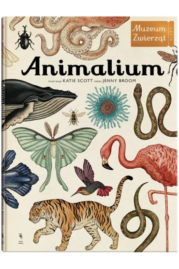 Animalium muzeum zwierz�t - Jenny Broom