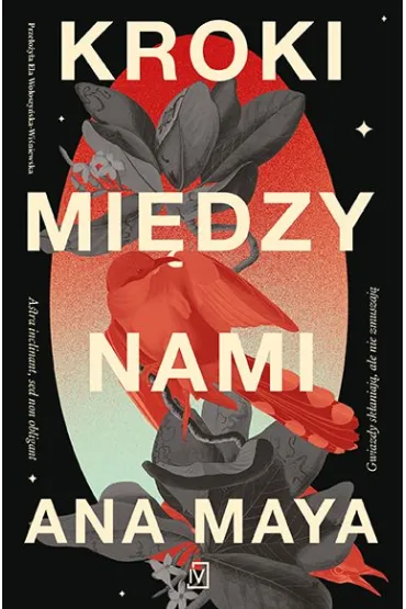 Kroki mi�dzy nami - Ana Maya