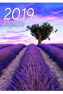 Morex Kalendarz 2019 Pejzae SM2