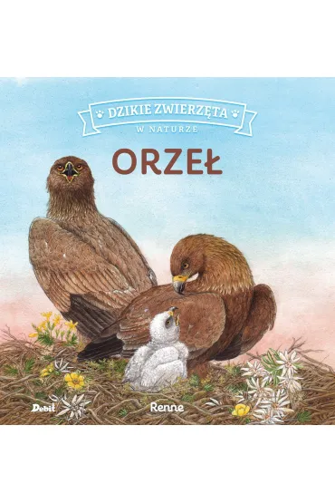 Orze�. Dzikie zwierz�ta w naturze - Renne Renne