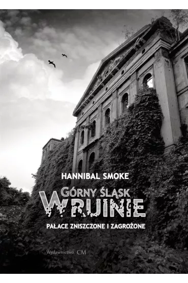 G�rny �l�sk w ruinie. Pa�ace zniszczone i zagro�one - Smoke Hannibal
