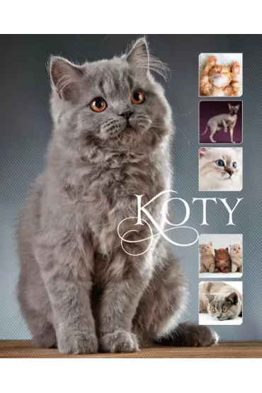 eBook Koty pdf - Karolina Matoga