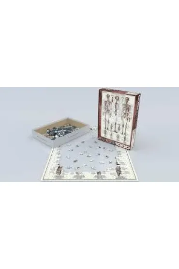 Puzzle 1000 el. Uk�ad szkieletowy Eurographics