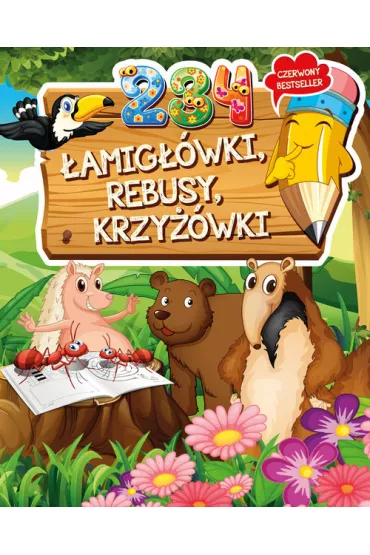 234 �amig��wki, rebusy, krzy��wki - Wojciech Wejner