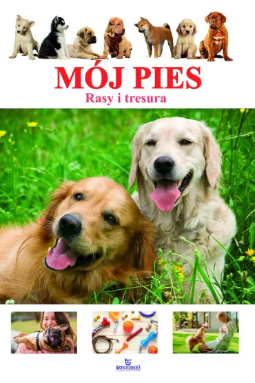 M�j pies. Rasy i tresura - Marta  K�pa