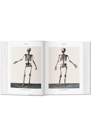 Atlas of Human Anatomy AND Surgery - Jean Marc Bourgery