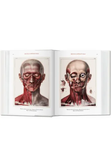 Atlas of Human Anatomy AND Surgery - Jean Marc Bourgery