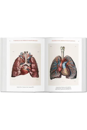 Atlas of Human Anatomy AND Surgery - Jean Marc Bourgery