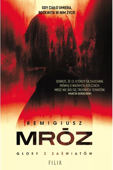 G�osy z za�wiat�w - Remigiusz Mr�z