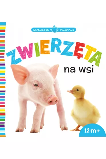 MALUSZEK POZNAJE Zwierz�ta na wsi