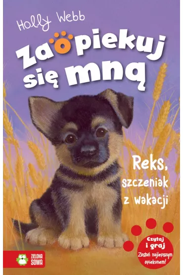 Reks, szczeniak z wakacji. Zaopiekuj si� mn� - Holly Webb