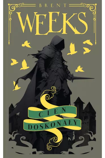 eBook Cie� doskona�y. Anio� Nocy mobi epub - Brent Weeks